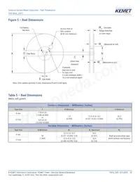 T502B106M016AG63107280 Datasheet Page 13