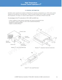 VRR50V103KGS Datasheet Pagina 13