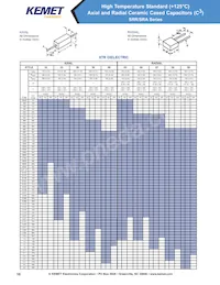 VRR50V103KGS Datasheet Page 16