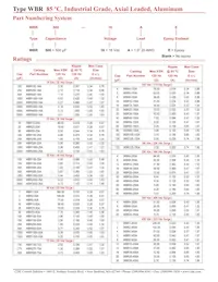 WBR5000-16A Datasheet Pagina 2