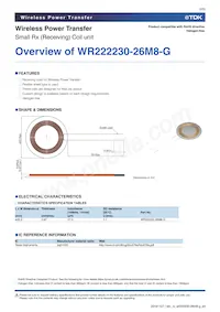 WR222230-26M8-G數據表 頁面 2