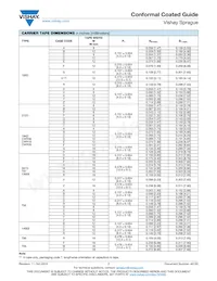 195D107X9010H2T Datasheet Page 17