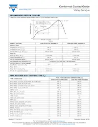 195D107X9010H2T Datasheet Page 20