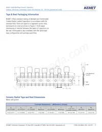 C317C229C1G5TA Datasheet Page 17