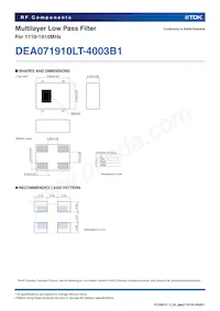 DEA071910LT-4003B1數據表 頁面 2