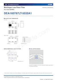 DEA160787LT-5032A1 Datasheet Page 2