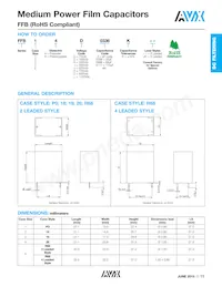 FFB56J0136KJC Datasheet Page 2