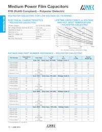 FFB56J0136KJC Datasheet Page 3