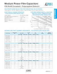 FFB56J0136KJC Datasheet Page 4