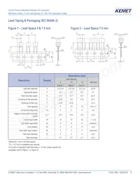 R66PD1100AA10K Datenblatt Seite 12