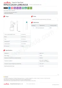 RPE5C2A391J2M2A03A Datenblatt Cover