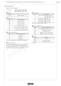 TZ03Z500E169B00 Datasheet Page 4