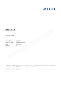 B64290A0044X072 Datasheet Copertura