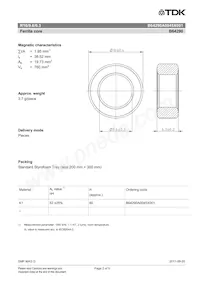 B64290A0045X001 Datasheet Pagina 2