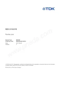 B64290A0618X033 Datasheet Copertura