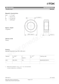 B64290A0618X033 Datasheet Pagina 2