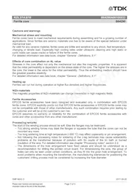 B64290A0618X033 Datasheet Pagina 3