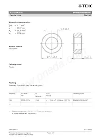 B64290A0618X097 Datasheet Page 2