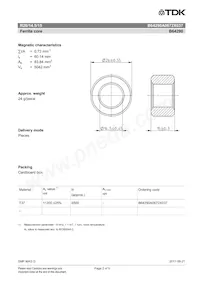 B64290A0672X037 Datasheet Page 2