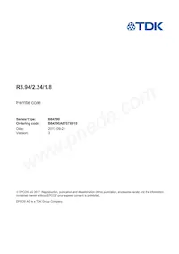 B64290A0707X010 Datasheet Cover