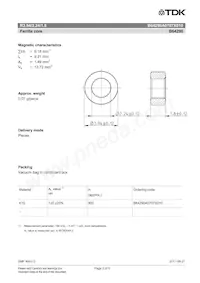 B64290A0707X010 Datasheet Page 2