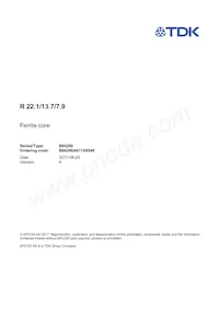 B64290A0719X049 Datasheet Cover