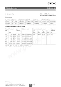 B64290L0048X038 Datasheet Pagina 2