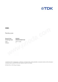 B65805C0000Y038 Datasheet Cover