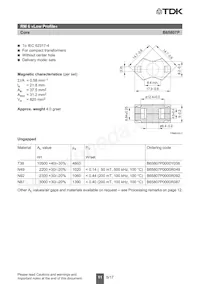 B65807N0200A048 Datasheet Page 11