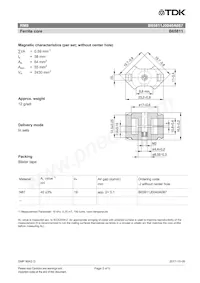 B65811J0040A087 Datasheet Pagina 2