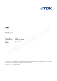 B65811J0100A087 Datasheet Cover