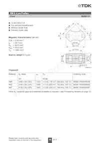 B65812P1012D001 Datasheet Page 10