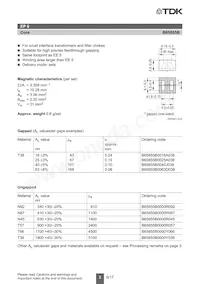 B65855B0000Y038 Datasheet Pagina 2