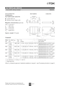 B66285K0000X149 Datasheet Page 4