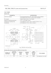 CLI/P-RM10/I Datasheet Page 4