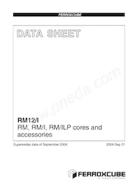 CLI/P-RM12/I數據表 封面