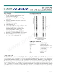 DS1258Y-100# Datasheet Cover
