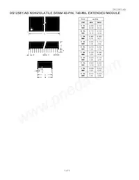 DS1258Y-100# Datasheet Page 8