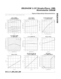 DS2045W-100# Datasheet Page 7