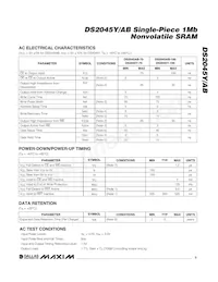 DS2045Y-70# Datasheet Page 3