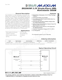 DS2065W-100# Datasheet Cover