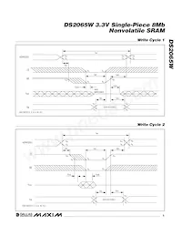 DS2065W-100# Datasheet Page 5