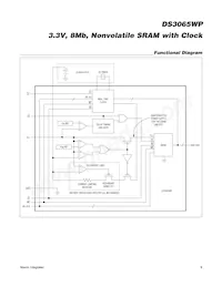 DS3065WP-100IND+ Datasheet Page 9