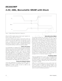 DS3065WP-100IND+ Datasheet Pagina 12