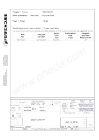 E58/11/38-4F1 Datasheet Page 2