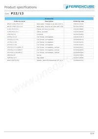 P22/13-3C91 Datasheet Page 2