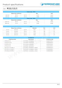 P22/13/I-3C91 Datasheet Page 2