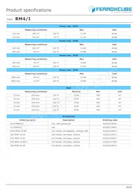 RM4/I-3C95-A63 Datasheet Pagina 2