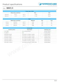 RM7/I-3C95-A100 Datasheet Page 2