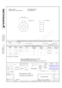 TX102/66/15-4C65 Datenblatt Cover